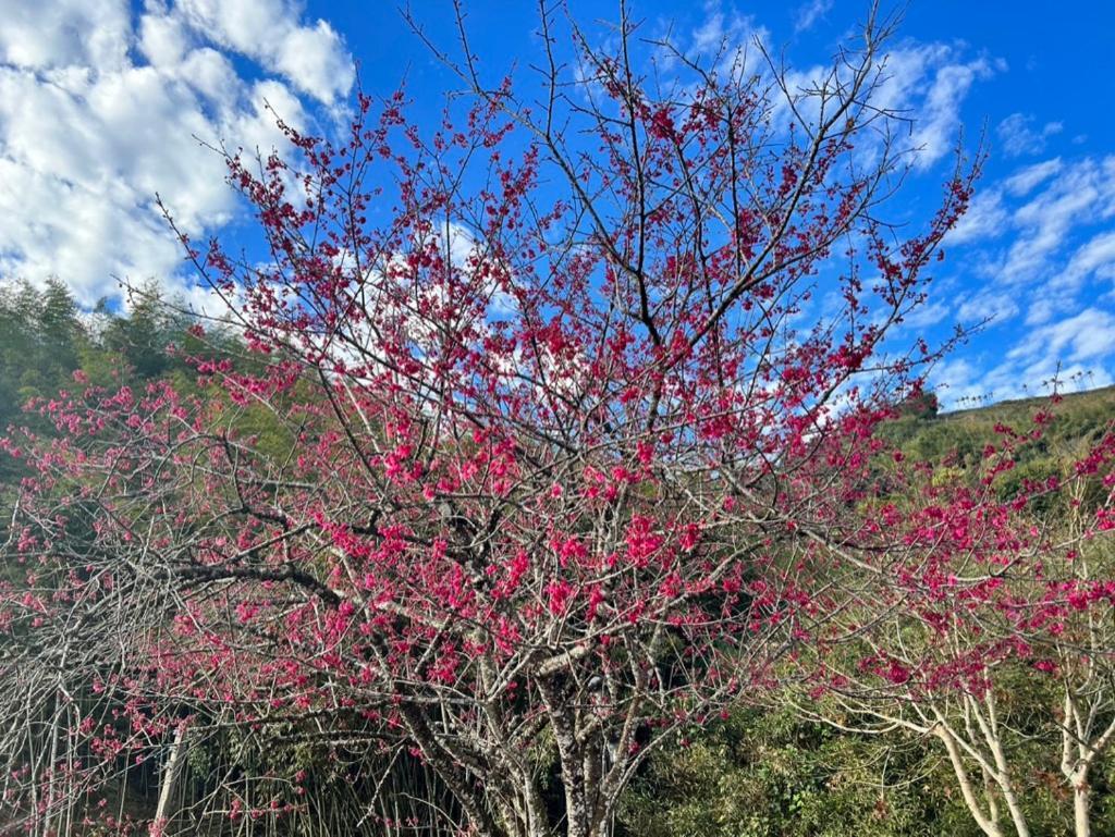 仲明居陶艺坊住宿加早餐旅馆 番路乡 外观 照片