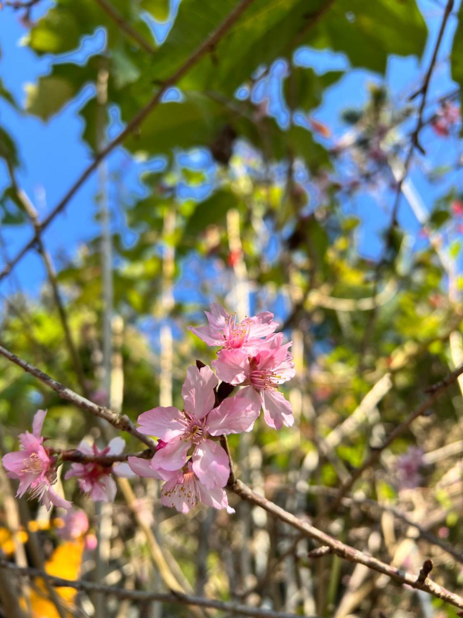 仲明居陶艺坊住宿加早餐旅馆 番路乡 外观 照片